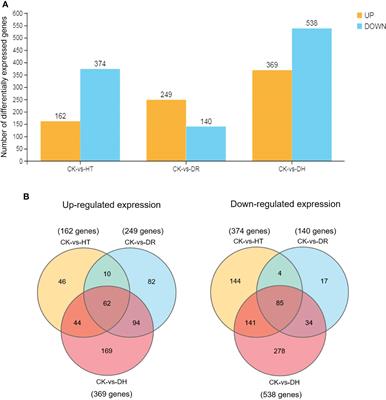 Frontiers | Comparative transcriptomic and proteomic analysis 